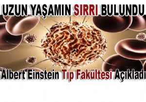 Olay Yaratacak Aratrmann Sonular Akland