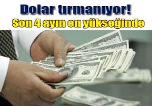Dolar son drt ayn en ykseine yaklayor