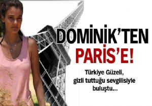Survivordan Parise