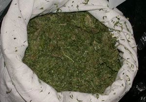 Gazipaada 500 Gram Esrar Maddesi Ele Geirildi