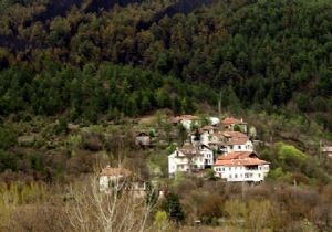 Antalya 2B de 45 bin hektarla ilk srada