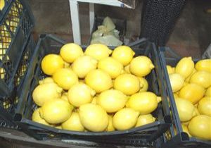Finikeli Limon reticilerinin Yz Gld
