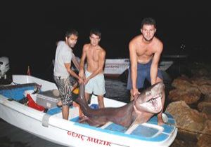 Gece Avnda Oltaya Kpek Bal Takld