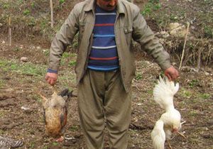 Hakkari Halkn Ku Gribi Korkusu Sard 