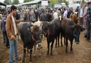 Kurban Bayramnda kaak kesime Ykl ceza