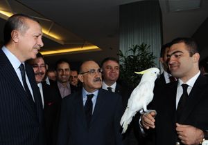 Erdoan, papaan konuturamad