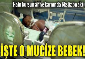 Hayalini kurmutu, kucana alamad!