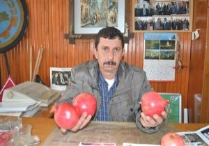 Erken Hasat Piyasay Olumsuz Etkiliyor