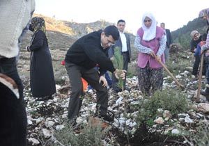 Kepez Belediyesi nden ehit Orman