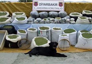 PKK ya Uyuturucu Darbesi!