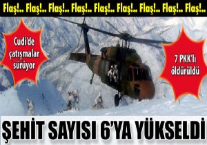 Cudi de atmalar sryor