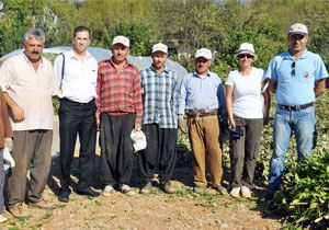 Serik Ziraat Odas Zeytin Fidan Datmna Devam Edecek