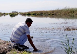 Slk Toplayanlara 38 Bin 751 er Lira Ceza Kesildi