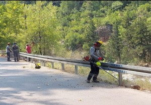 Kemer de Yangna Kar evre Temizlii