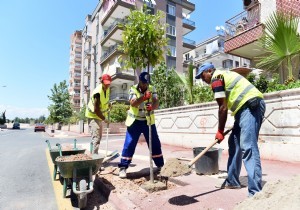 Muratpaa Turun Kokacak