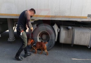 KKTC Narkotik Polisinden  Mausa Limannda Youn Denetim